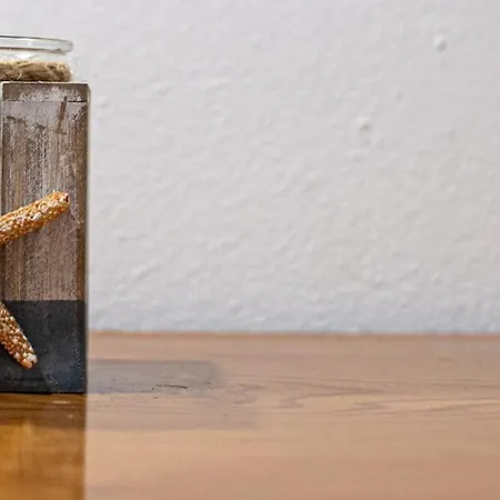 Anemone Апартаменты